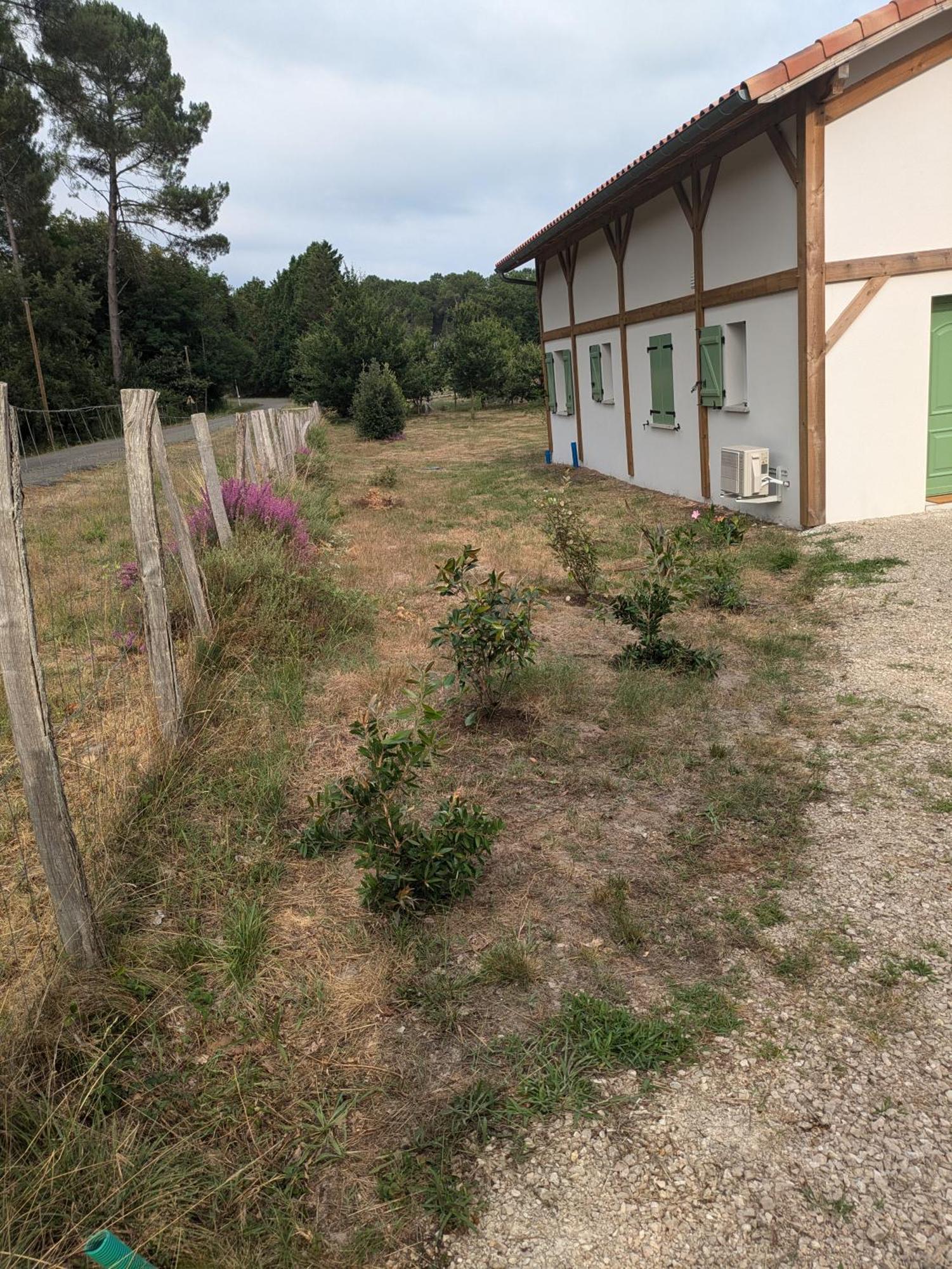 Casayean Entre Pins Et Ocean Villa Onesse-et-Laharie Exteriör bild